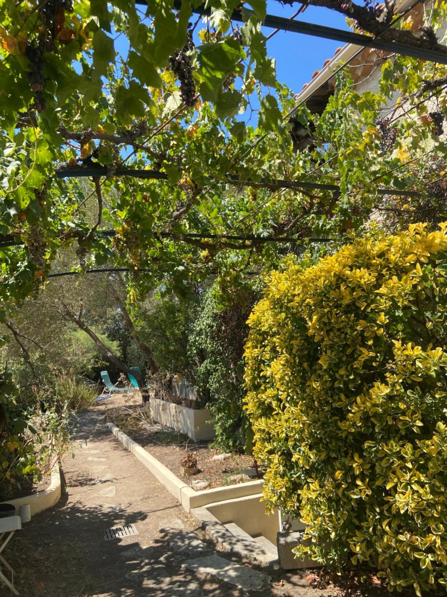 Evasion En Provence Bas De Villa Avec Jardin & Vignes, Soleil & Fraicheur Les Pennes-Mirabeau Exterior photo